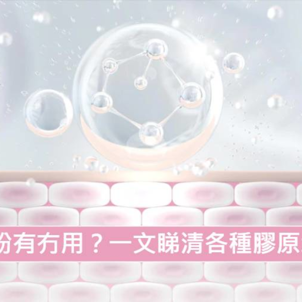 【膠原蛋白】膠原蛋白粉有冇用?一文睇清各種膠原增生方法!