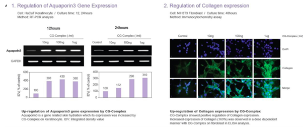 Nature-B4.png#asset:1219